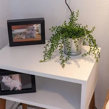 شقة Cihangir Apartmenst *
